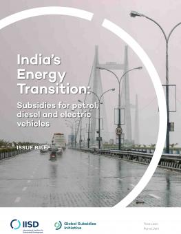 india-energy-transition-subsidies-petrol-diesel-electric-vehicles-1.jpg