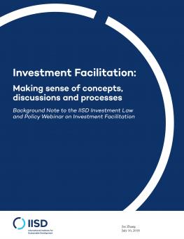 Investment Facilitation: Making Sense Of Concepts, Discussions And ...