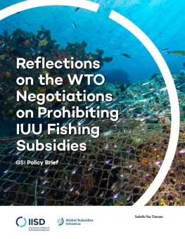 wto-negotiations-prohibiting-fishing-subsidies-2.jpg