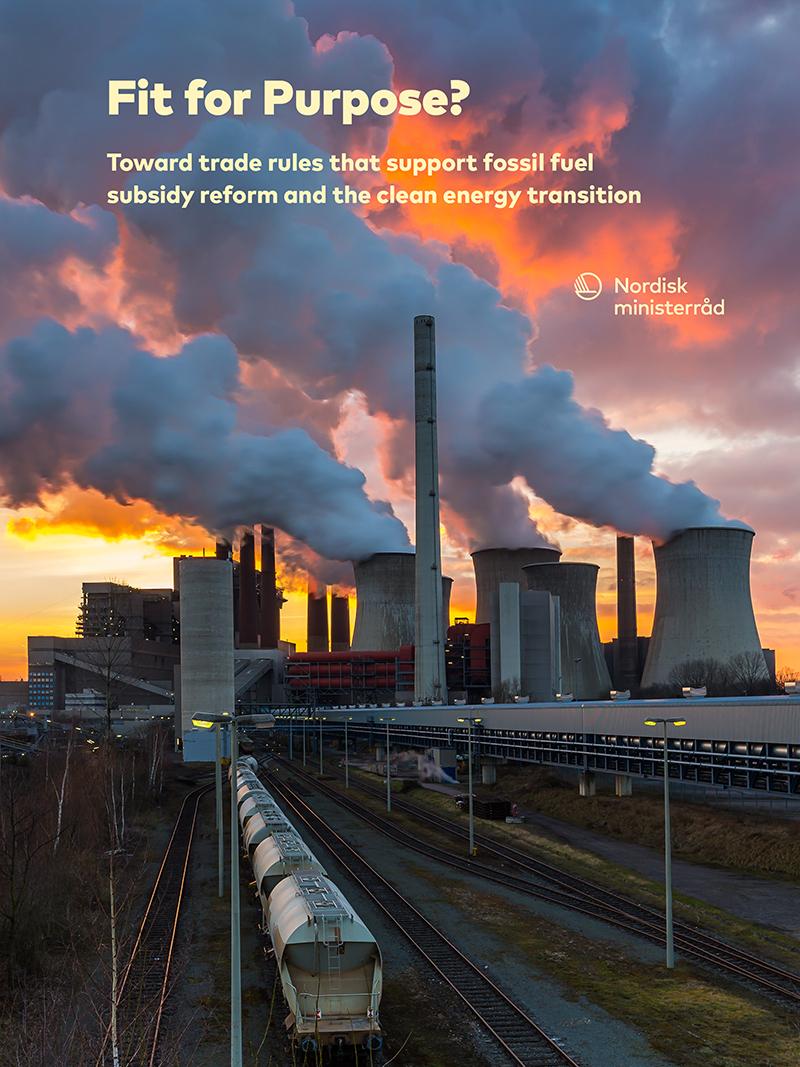 Fit For Purpose? Toward Trade Rules That Support Fossil Fuel Subsidy ...