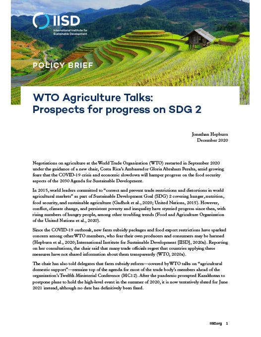 WTO Agriculture Talks: Prospects For Progress On SDG 2 | International ...