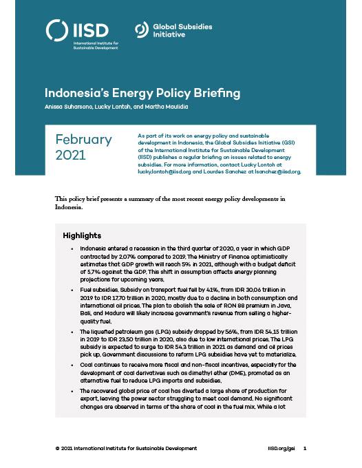 Indonesia's Energy Policy Briefing | February 2021 | International ...