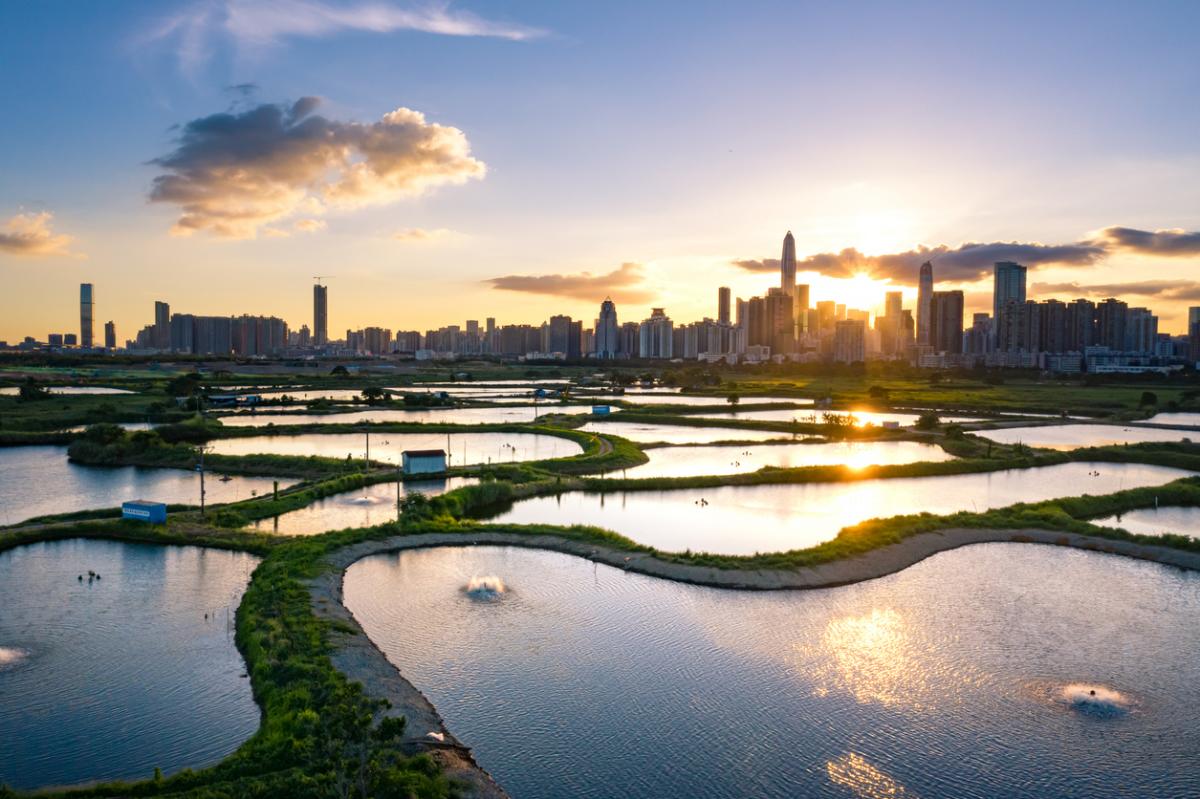 The Nature-Based Infrastructure Global Resource Centre | International ...