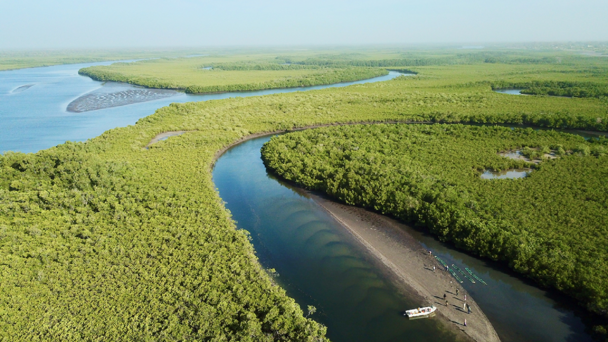 Nature-based Infrastructure: A Powerful Tool For Women's Empowerment In 