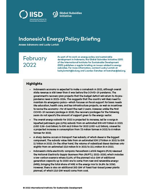 Indonesia's Energy Policy Briefing | February 2022 | International ...