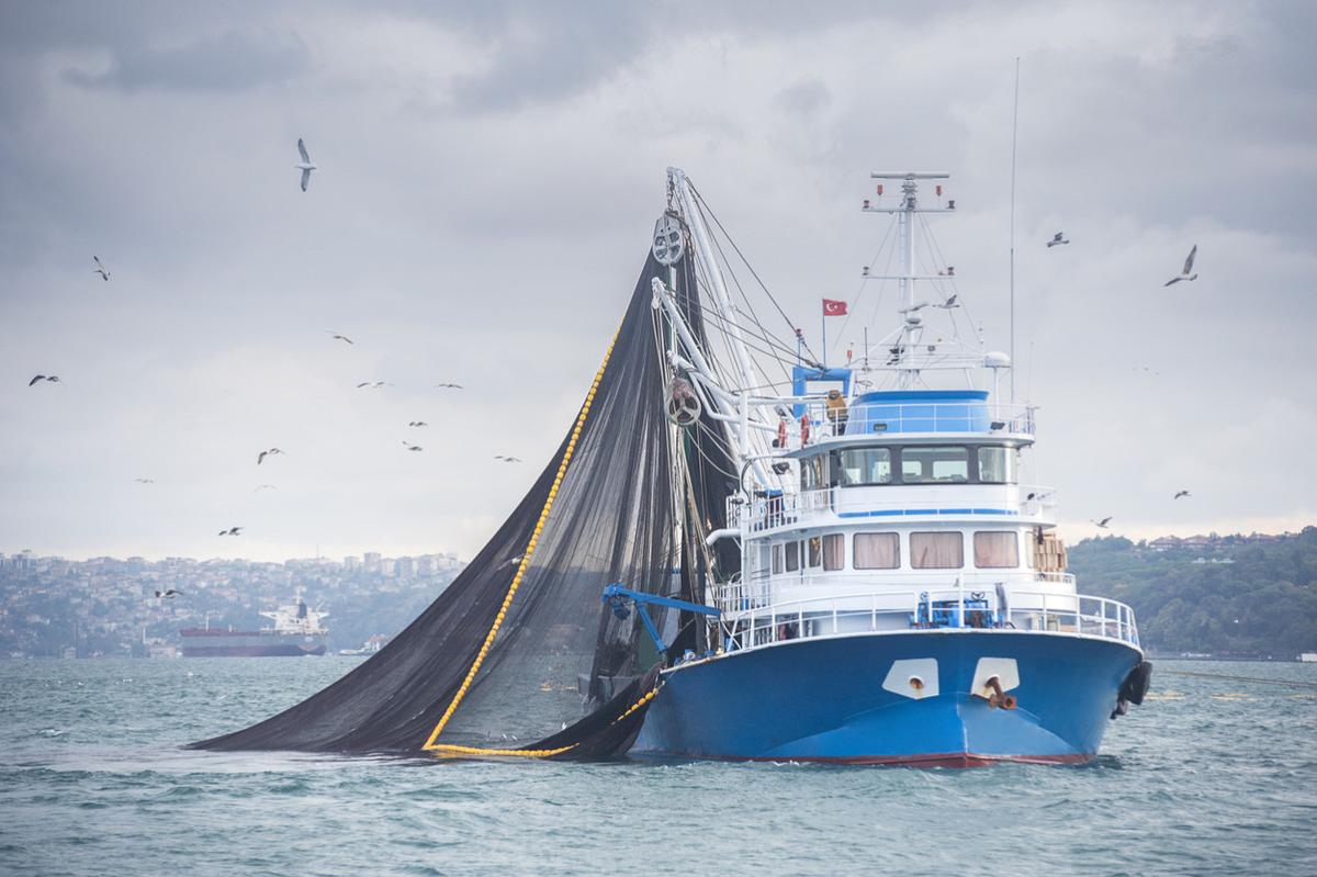 A Draft World Trade Organization Agreement on Fisheries Subsidies: What's  on the table?