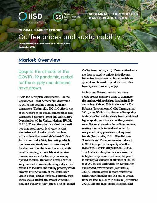 IMA and Caffè Borbone: partners who combined quality, sustainability and  efficiency - Global Coffee Report