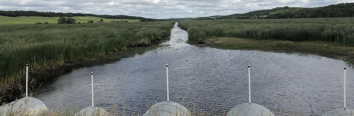 A Municipal Perspective on the Value of Natural Infrastructure