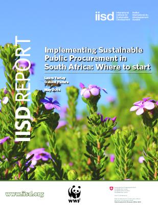 Implementing Sustainable Public Procurement In South Africa: Where To ...