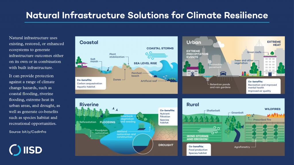 Natural Infrastructure Solutions For Climate Resilience | International ...