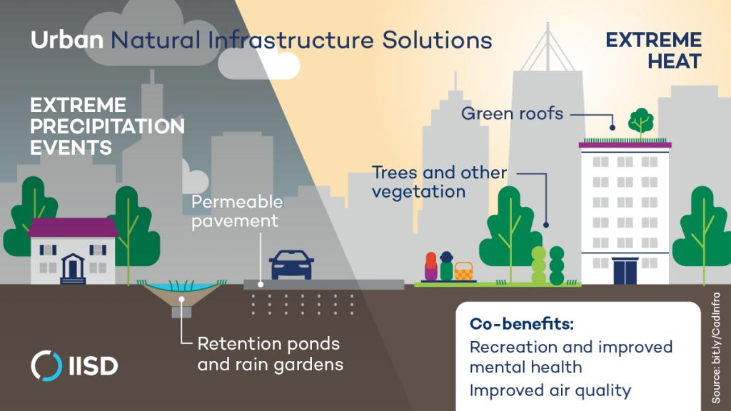 Natural Infrastructure Solutions For Climate Resilience | International ...