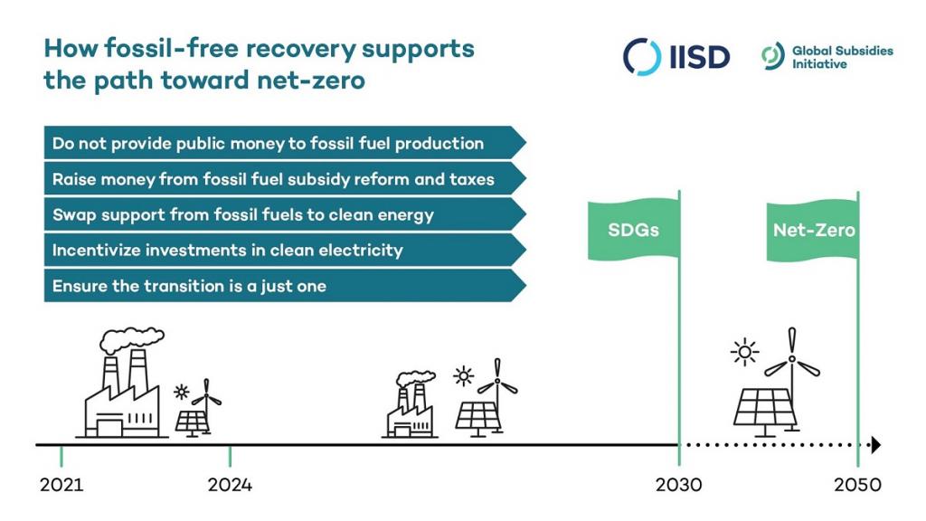 A Green Recovery From COVID-19: Responding To The Health Crisis And The ...