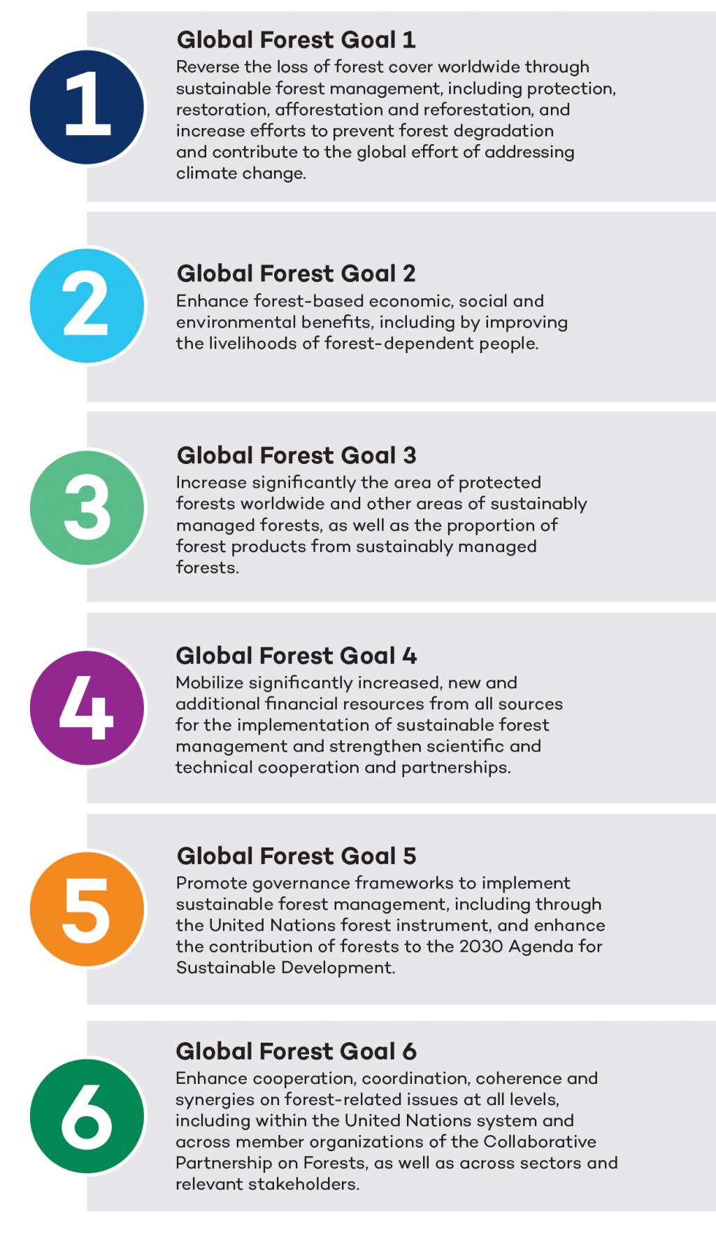 The Roots Of Forest Loss And Forest Governance | International ...