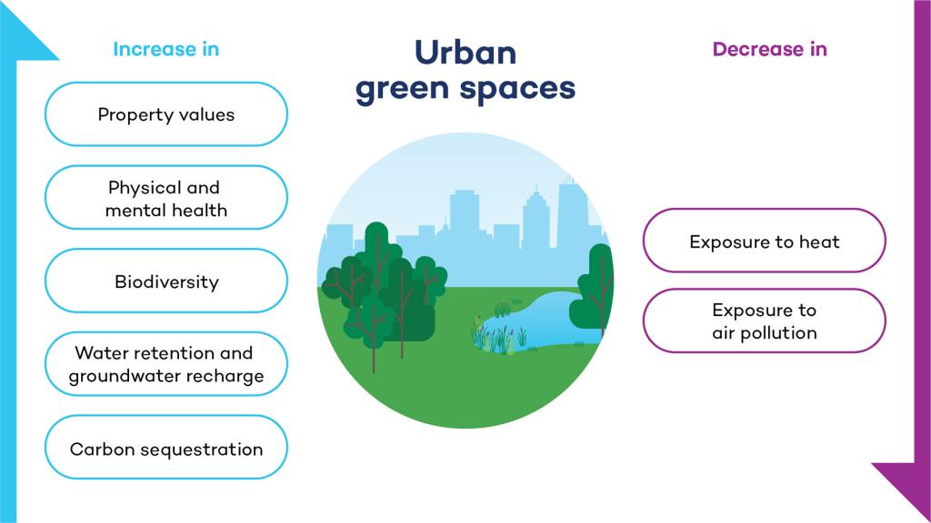 The Value Of Incorporating Nature In Urban Infrastructure Planning ...