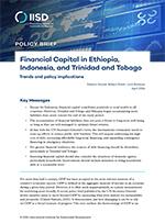Financial Capital in Ethiopia, Indonesia, and Trinidad and Tobago