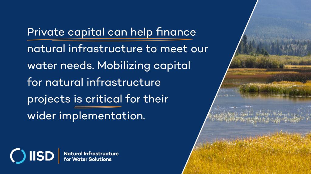 Private capital can help finance natural infrastructure to meet our water needs. Mobilizing capital for natural infrastructure projects is critical for their wider implementation.