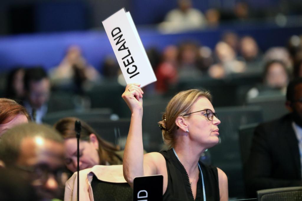 Iceland raises a point of order at COP 27