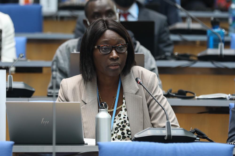 Madeleine Rose Diouf Sarr, Senegal, on behalf of Least Developed Countries