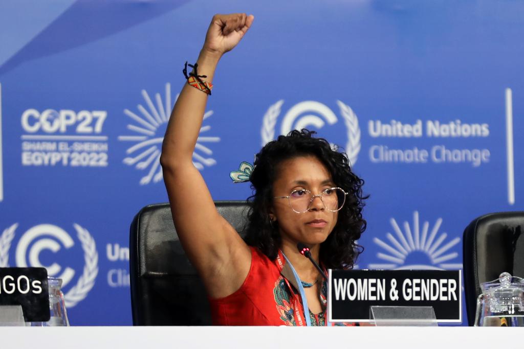 Gina Cortés Valderrama, Women and Gender Constituency, at COP 27