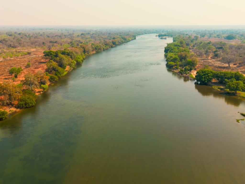 A tranquil river surrounded by trees