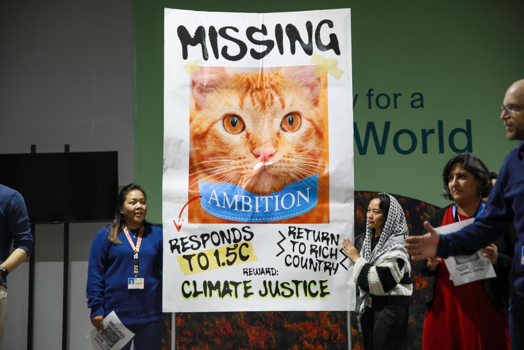 A sign being held at COP 29 showing a picture of a ginger cat with a collar reading: ambition. Text on the banner reads: Missing. Responds to 1.5C. Return to rich country. Reward: climate justice.