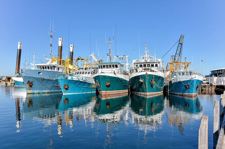 Fisheries subsidies