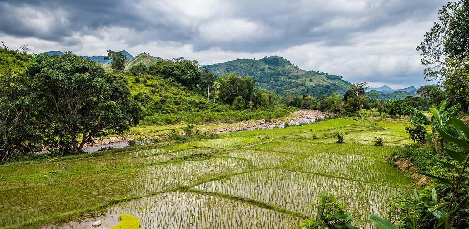 Developing a National Organic Standard for Agriculture in Madagascar ...