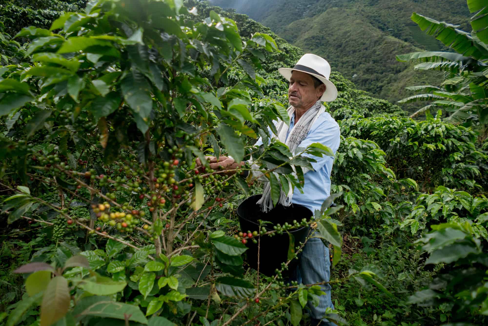 Advancing Sustainable Agriculture in the Americas by Sharing Knowledge ...