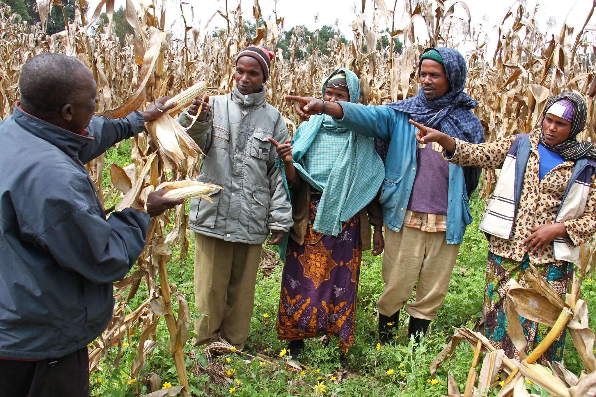 More and Better Investments Are Needed in Agriculture and Food Systems